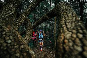 BIB: 
                            <button type="button" onclick="openModal(25672823)" class="btn btn-primary btn-sm float-right btn-popup" data-toggle="modal" data-target=".modal-high-quality">
                        <i class="fas fa-shopping-cart"></i> Add to Cart
                    </button>
                                            <button type="button" onclick="isThisMe(25672823, true)" class="btn btn-success btn-sm float-right btn-popup btn-isme hidden" data-toggle="tooltip" data-placement="bottom" title="นี่คือรูปของคุณใช่ไหม คลิกที่นี่เพื่อเอาเข้าอัลบั้ม">
                        <i class="fas fa-plus"></i> Add to album
                    </button>
                    <button type="button" onclick="isThisMe(25672823, false)" class="btn btn-warning btn-sm float-right btn-popup btn-isnotme hidden">
                        <i class="fas fa-ban"></i> Remove from album
                    </button>